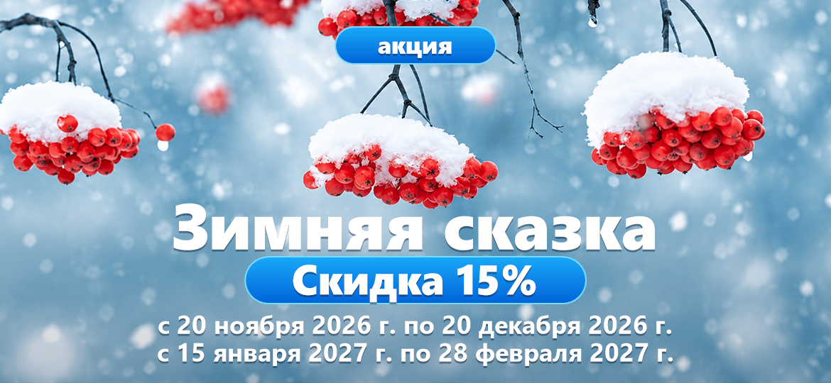 Зимняя сказка 2027
